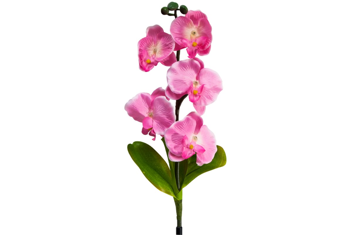 Светильник садово-парковый на солнечной батарее "Орхидея розовая" 5LED белый 70см PL301 Feron