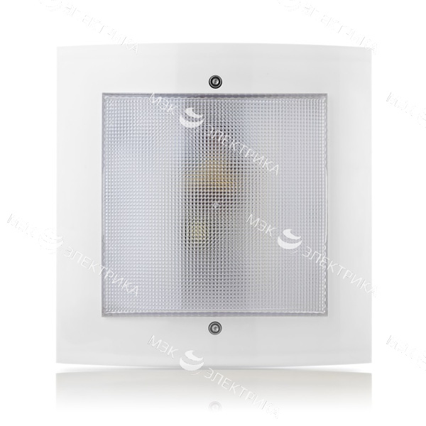 Светодиодный домовой светильник Аргос "Стандарт-ЖКХ LED" 12Вт/1300Лм/IP54 