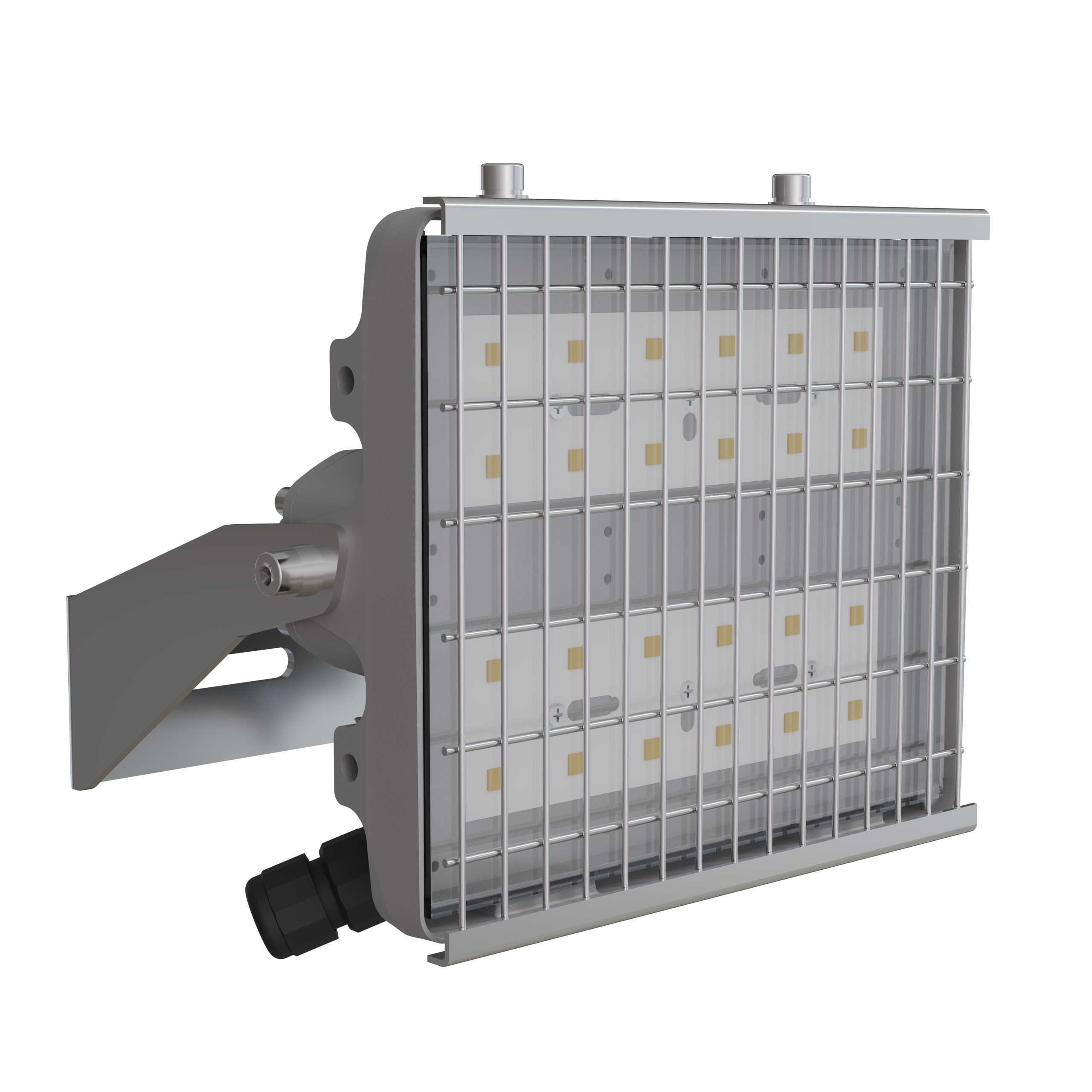 Светильник L-pixel 2 banner/100/К15/750/R5/05/I1-C2/230AC IP66 #