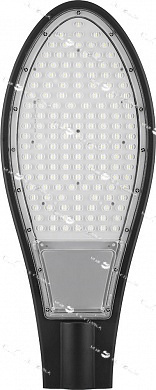 Уличный светодиодный светильник 30LED*30W AC230V/ 50Hz цвет черный (IP65), SP2925 